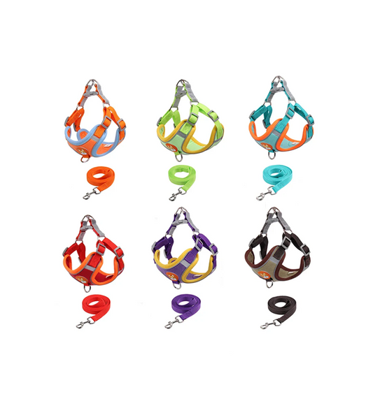 Pet Dog Harness w/ Leash Small