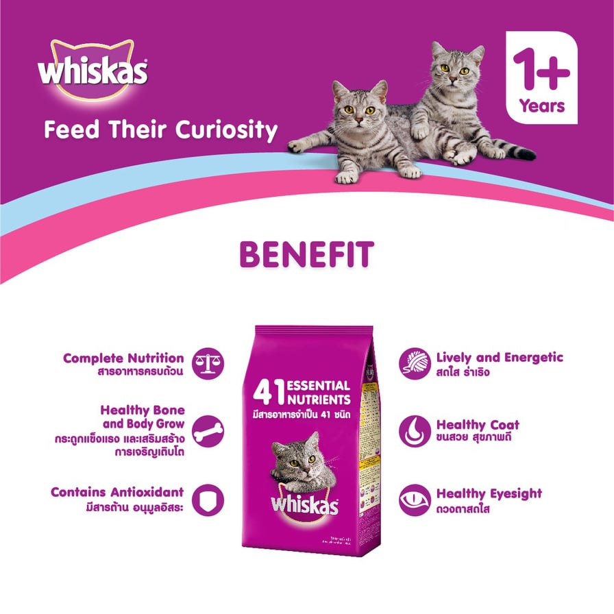 Whiskas Cat Dry Food Adult 1.2kg